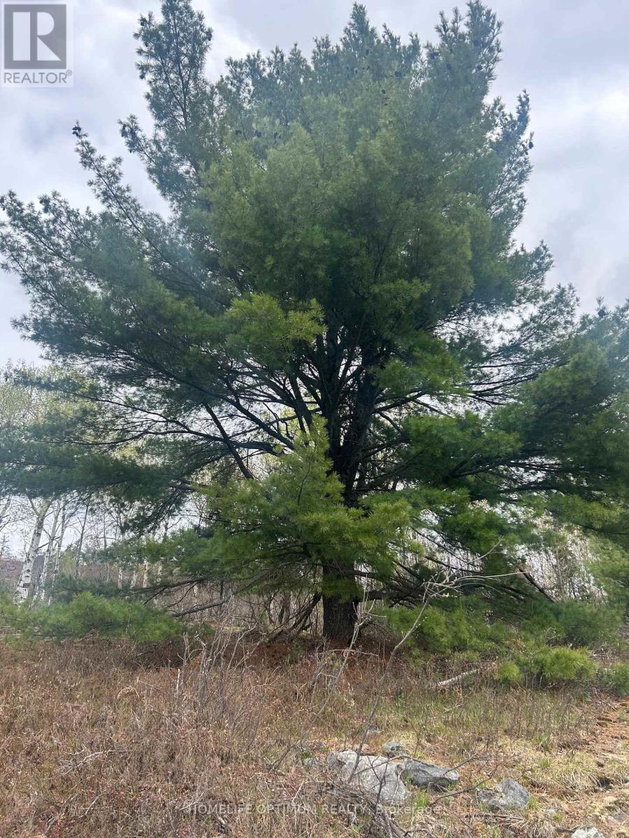 Pc21206 N/a, Greater Sudbury, Ontario  P0M 1J0 - Photo 15 - X12915358