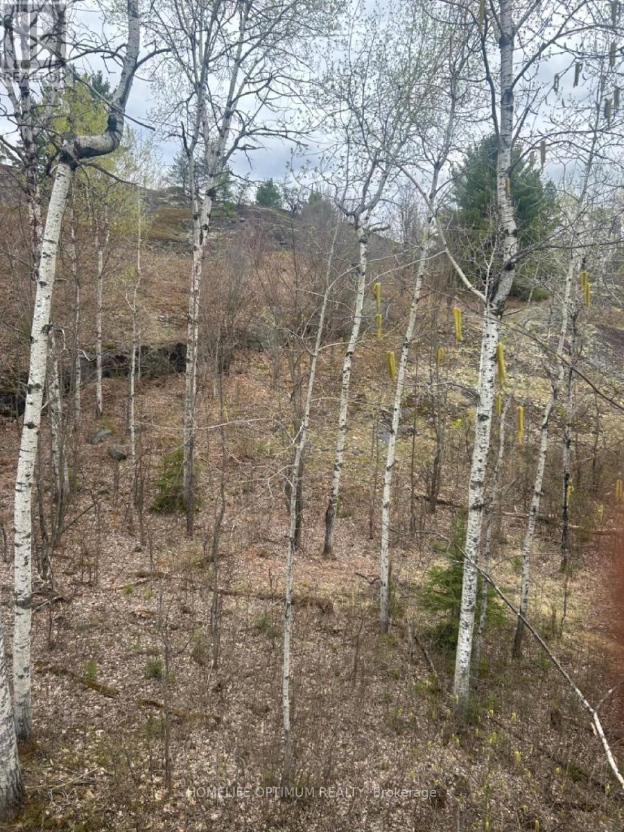 Pc21206 N/a, Greater Sudbury, Ontario  P0M 1J0 - Photo 18 - X12915358