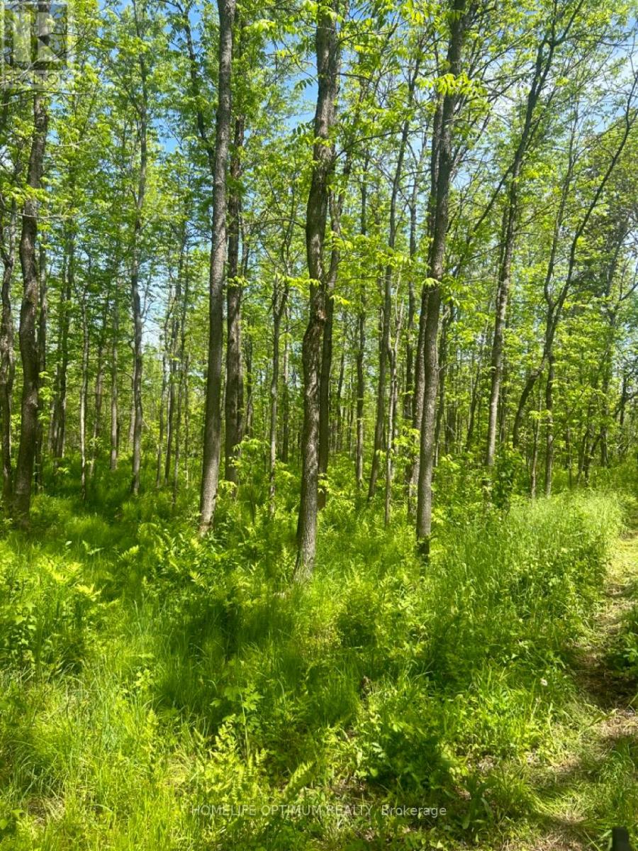 Pc21206 N/a, Greater Sudbury, Ontario  P0M 1J0 - Photo 22 - X12915358