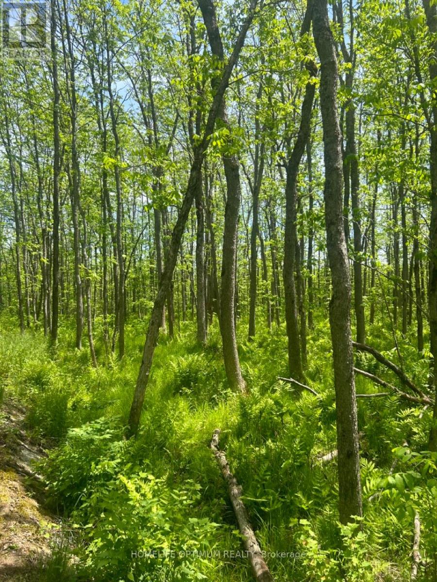 Pc21206 N/a, Greater Sudbury, Ontario  P0M 1J0 - Photo 23 - X12915358