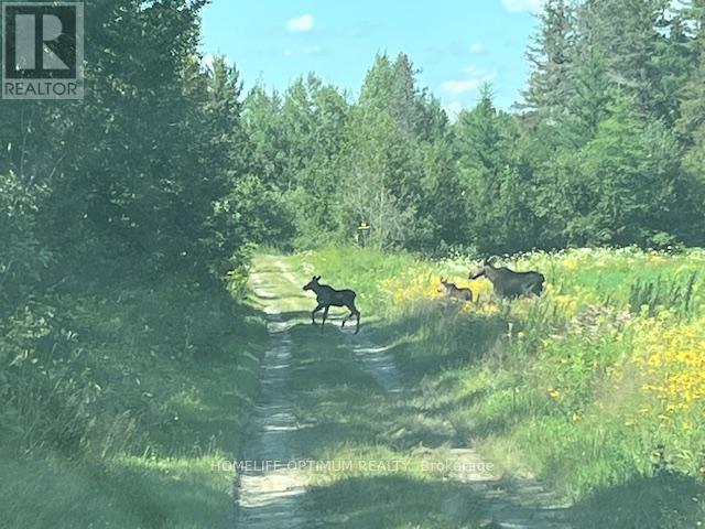 Pc21206 N/a, Greater Sudbury, Ontario  P0M 1J0 - Photo 17 - X12915372