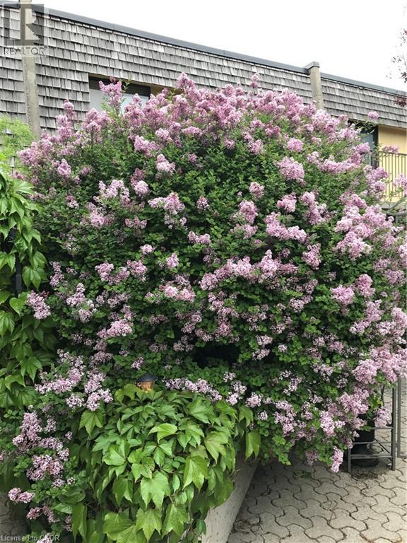 1250 Mississauga Valley Boulevard Unit# 177, Mississauga, Ontario  L5A 3R6 - Photo 46 - 40807405