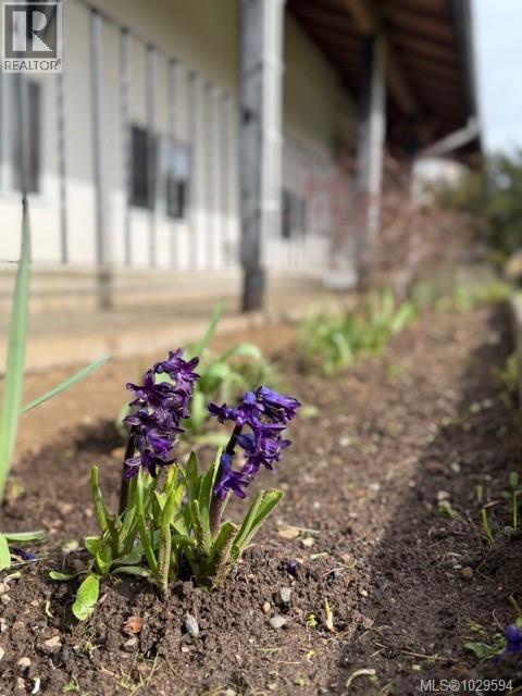 2876 Acacia Dr, Colwood, British Columbia  V9B 2C3 - Photo 30 - 1029594