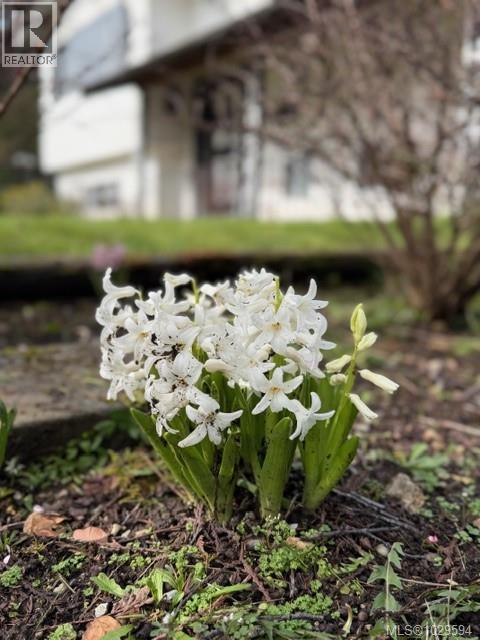 2876 Acacia Dr, Colwood, British Columbia  V9B 2C3 - Photo 29 - 1029594