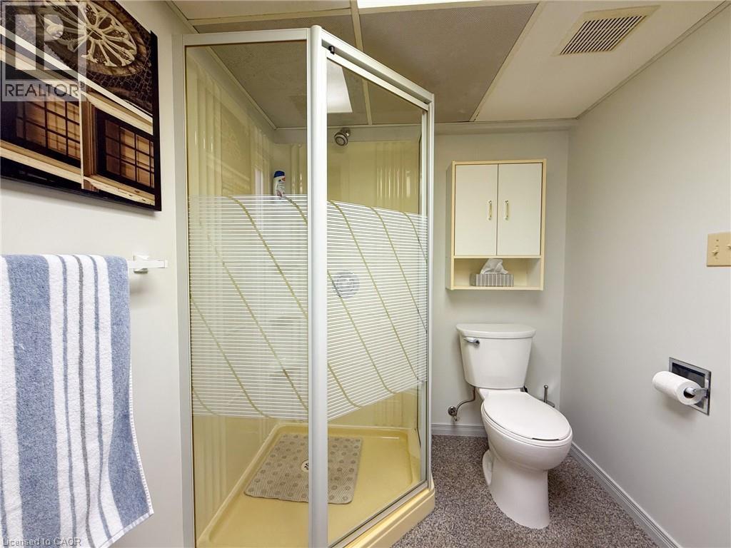 8 Ross Street, Waterford, Ontario  N0E 1Y0 - Photo 33 - 40813472