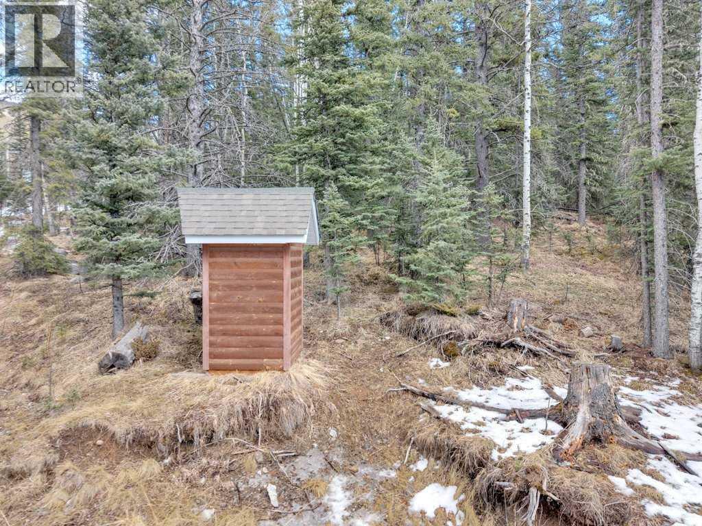 1204 Tamarack Trail, Nordegg, Alberta  T0M 2H0 - Photo 38 - A2295288