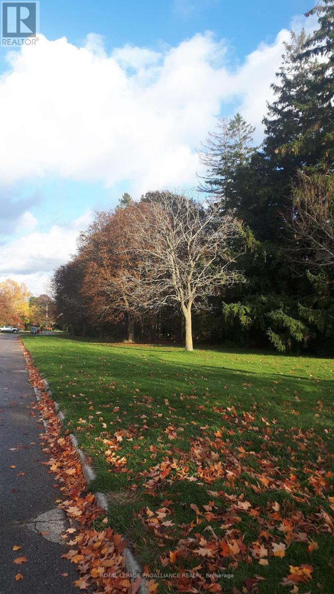 198 Victoria Street N, Port Hope, Ontario  L1A 3N3 - Photo 4 - X12476384