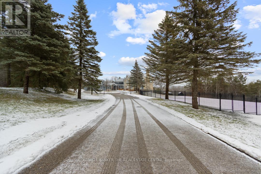 14571 Warden Avenue, Whitchurch-Stouffville, Ontario  L4A 3V7 - Photo 2 - N12915770