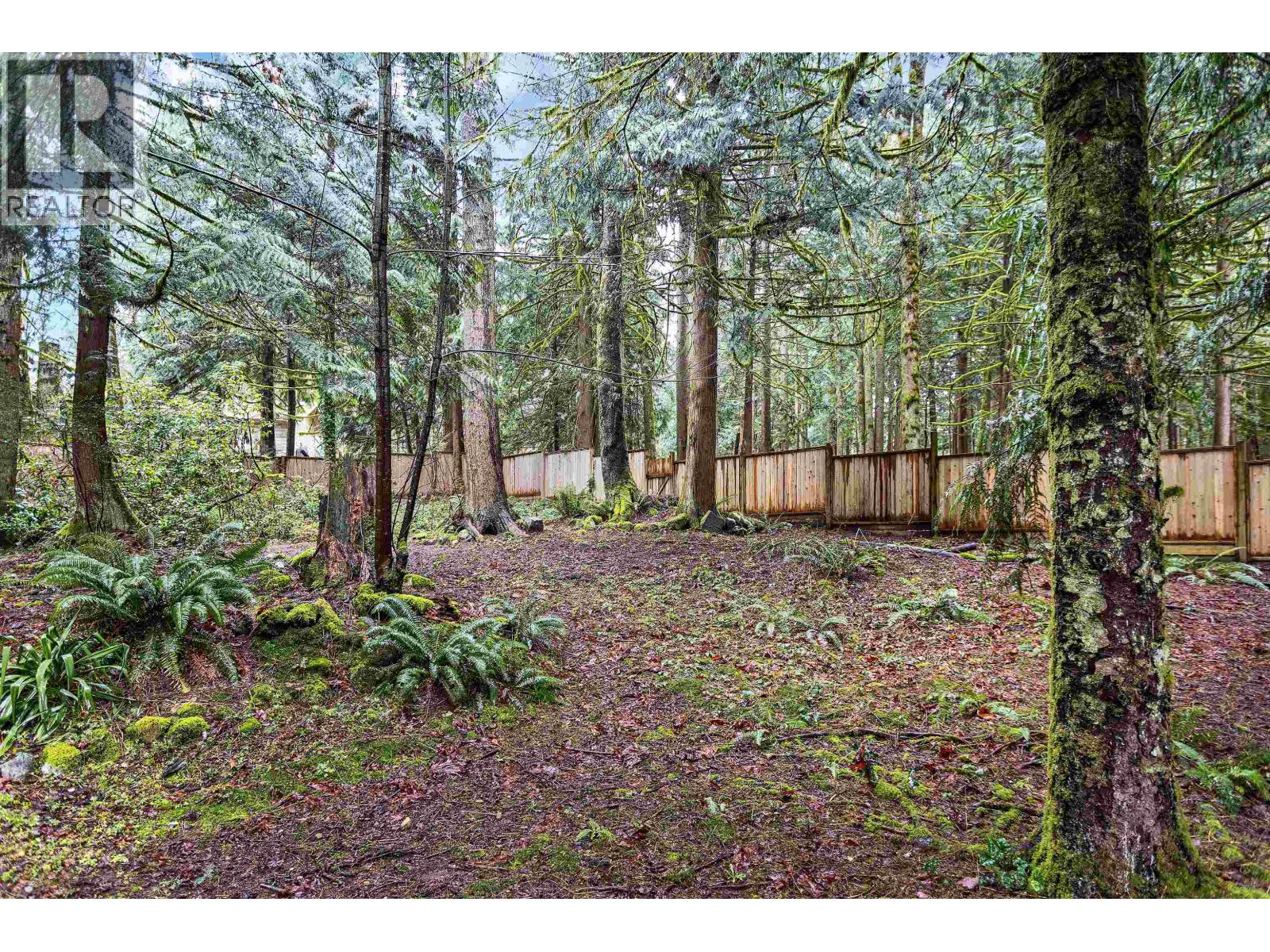 12146 Rothsay Street, Maple Ridge, British Columbia  V2W 1E2 - Photo 28 - R3101085