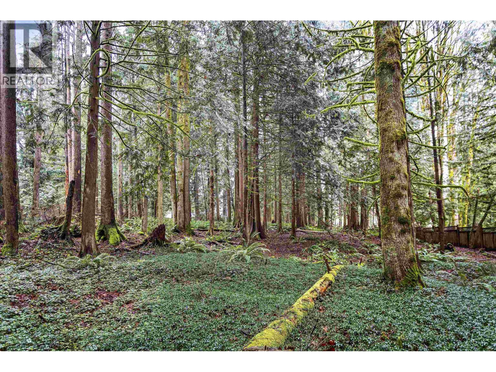 12146 Rothsay Street, Maple Ridge, British Columbia  V2W 1E2 - Photo 31 - R3101085