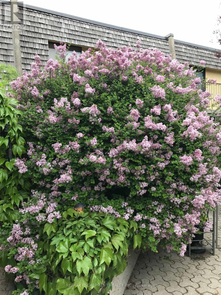 177 - 1250 Mississauga Valley Boulevard, Mississauga, Ontario  L5A 3R6 - Photo 45 - W12915682