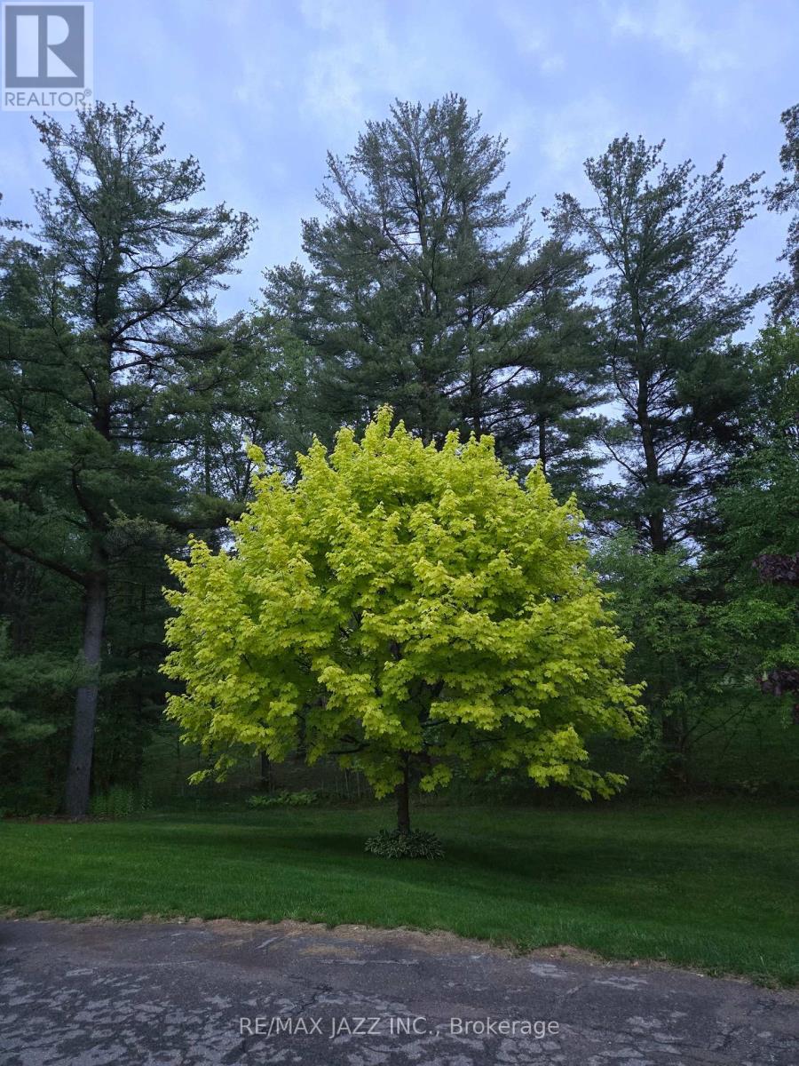 10049 Old Scugog Road, Clarington, Ontario  L0B 1B0 - Photo 46 - E12915888