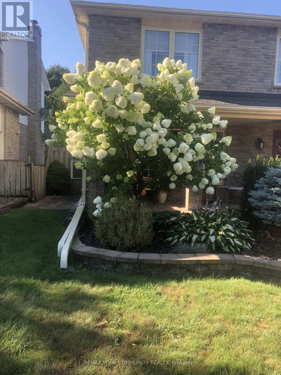 911 Ferndale Crescent, Newmarket, Ontario  L3Y 6B6 - Photo 42 - N12912906