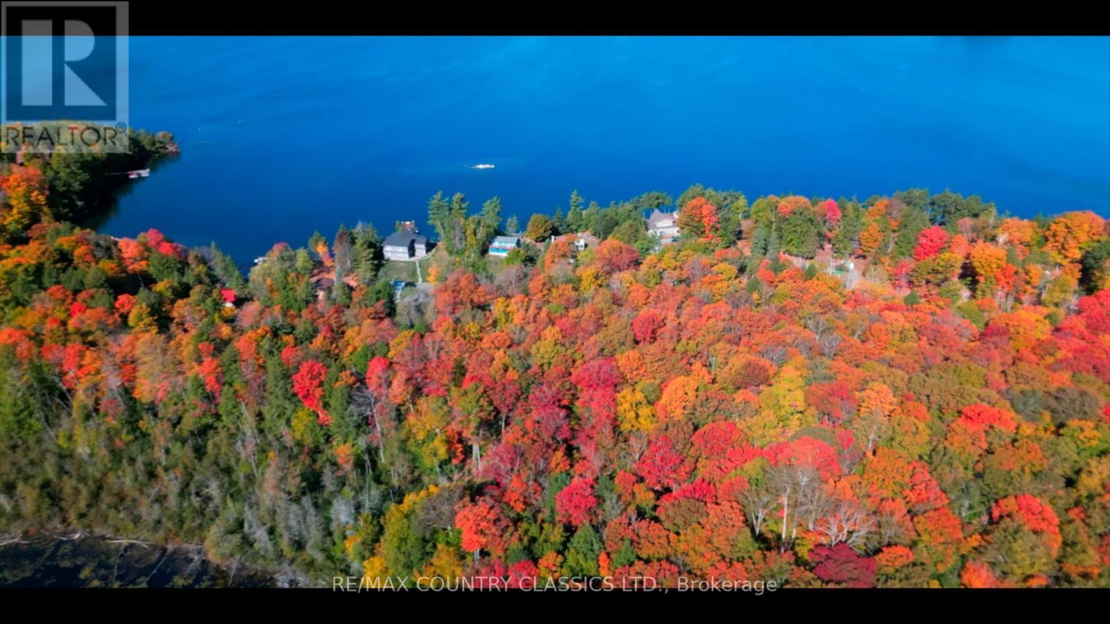 27 Martin Lane, North Kawartha, Ontario  K0L 1A0 - Photo 18 - X12915090