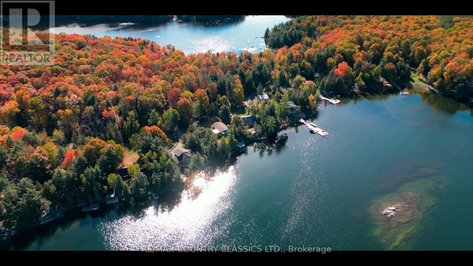 27 Martin Lane, North Kawartha, Ontario  K0L 1A0 - Photo 19 - X12915090