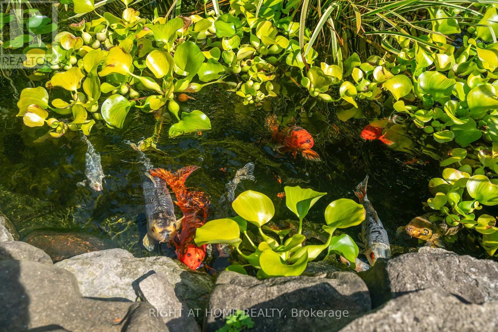 13 Oak Drive, Niagara-On-The-Lake, Ontario  L0S 1J0 - Photo 41 - X12791136