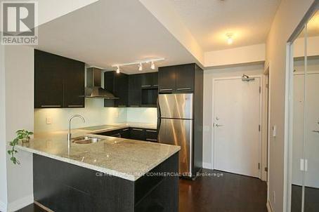 316 - 23 Carlton Street, Toronto, Ontario  M5B 1L5 - Photo 3 - C12916136