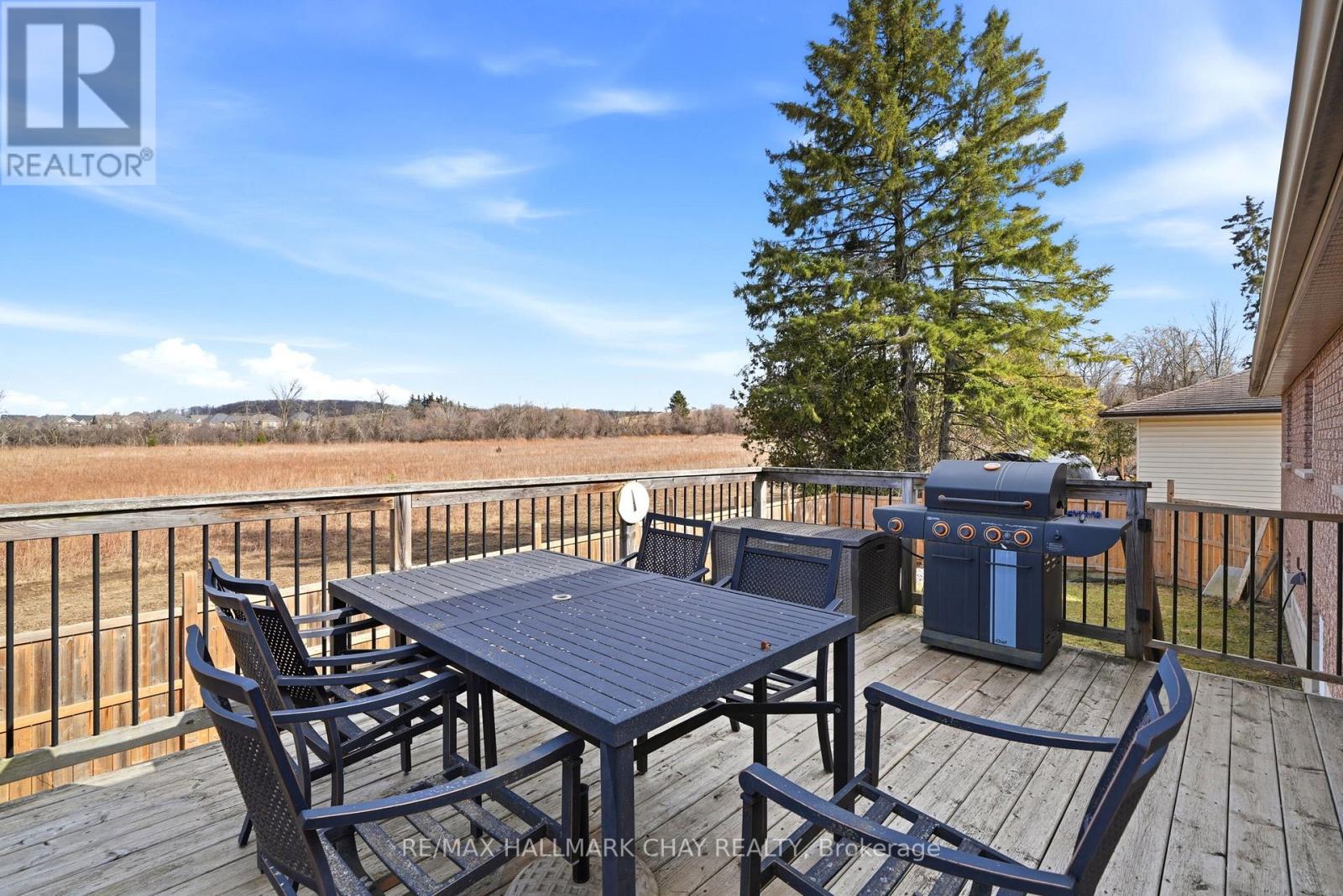 57 Tecumseth Street S, New Tecumseth (Beeton), Ontario  L0G 1A0 - Photo 42 - N12916180