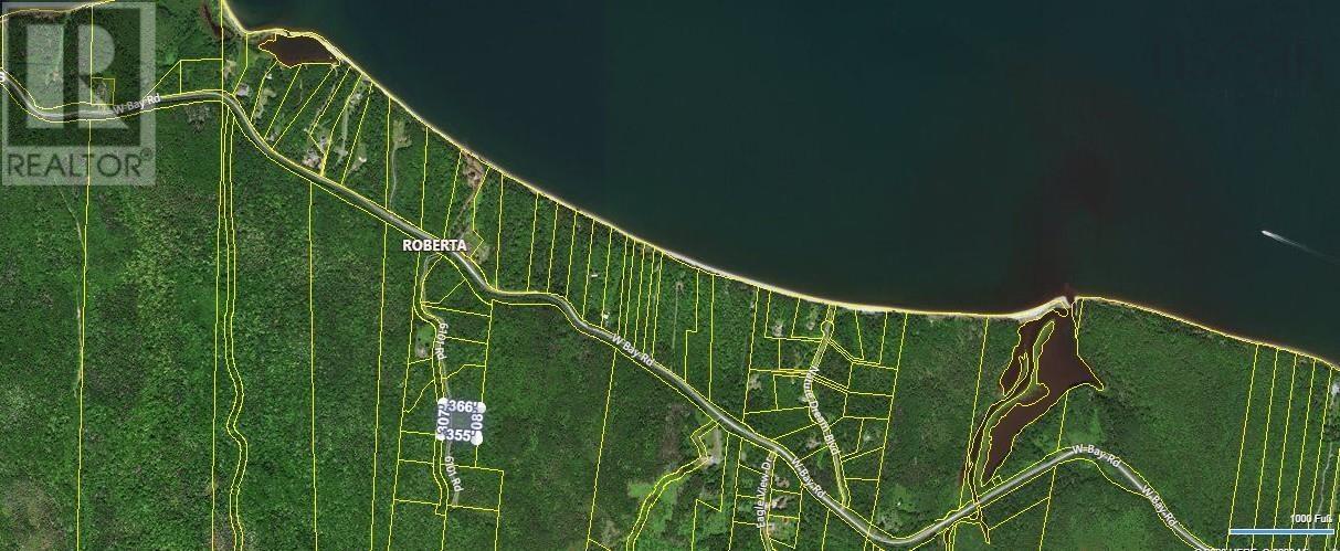 Lot 9 Leo's Lane, Roberta, Nova Scotia  B0E 3K0 - Photo 5 - 202605354