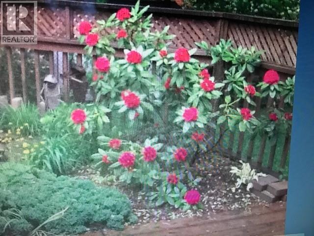 912 Varsity Crescent, Sarnia, Ontario  N7S 4W2 - Photo 38 - 26006119