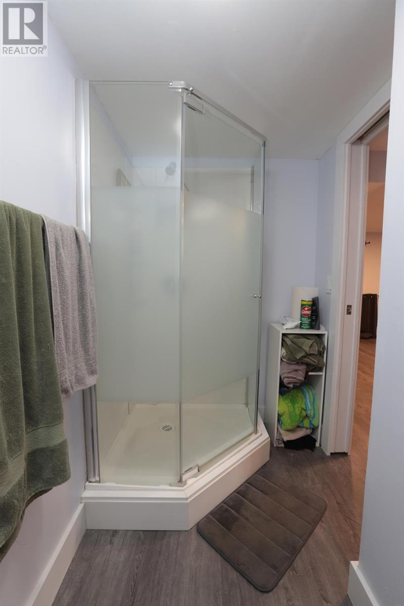 247 Willow Ave, Sault Ste. Marie, Ontario  P6B 5B4 - Photo 43 - SM260446