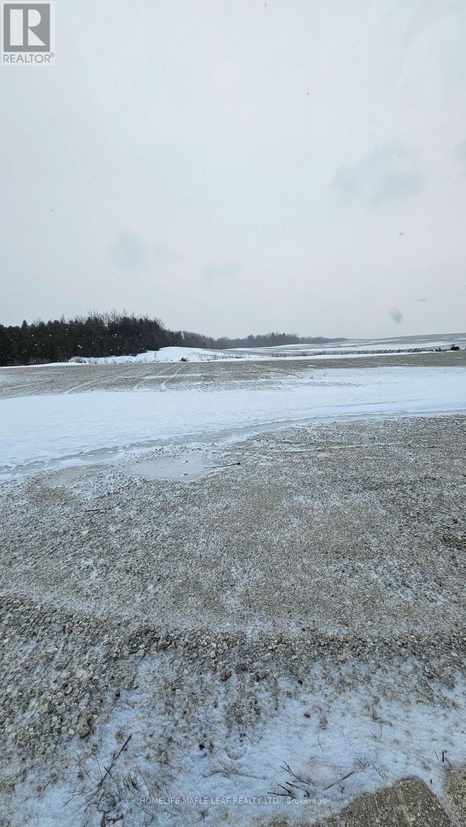 517462 County Road 124, Melancthon, Ontario  L9V 1V7 - Photo 18 - X12916278