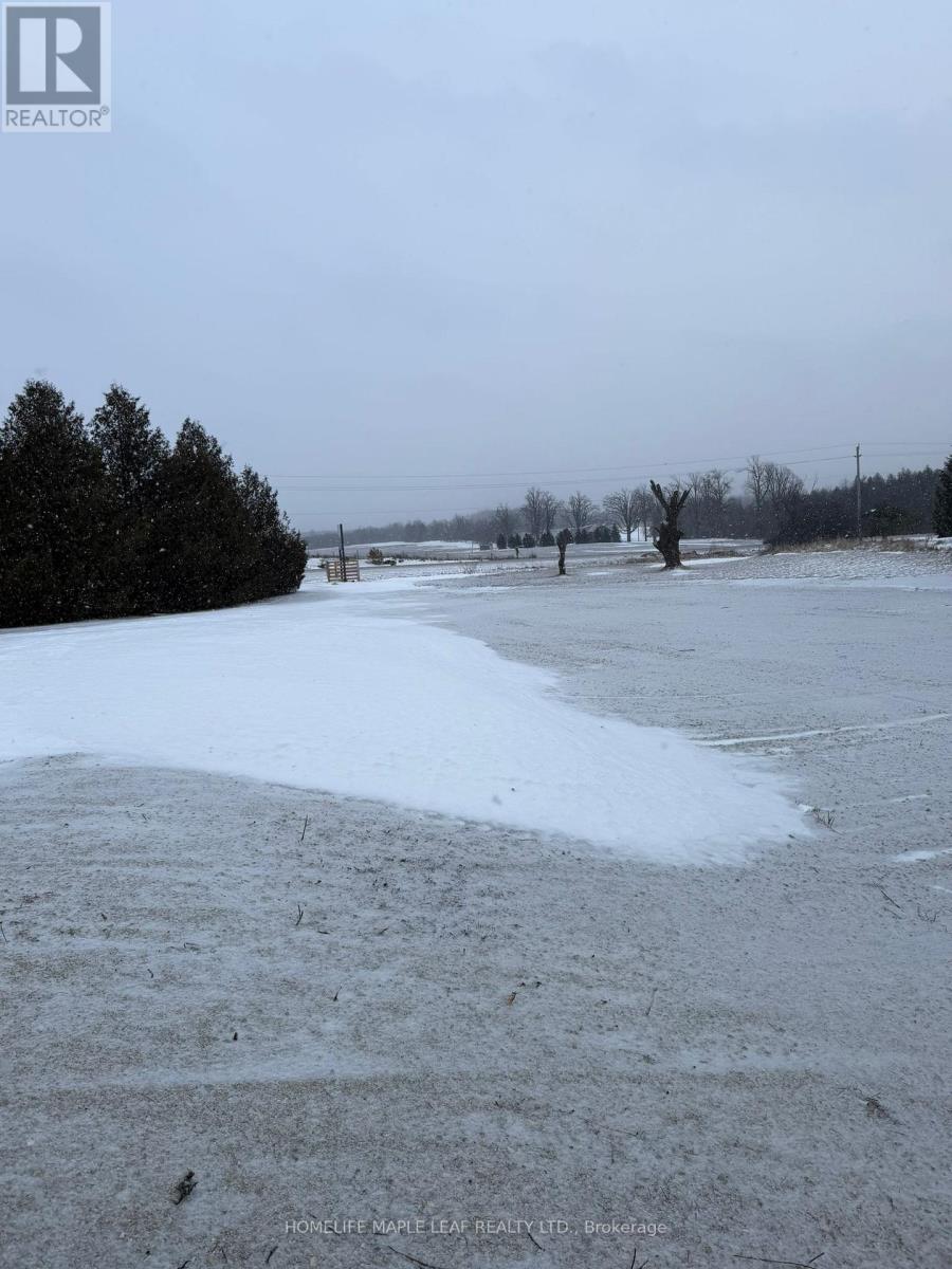 517462 County Road 124, Melancthon, Ontario  L9V 1V7 - Photo 19 - X12916278