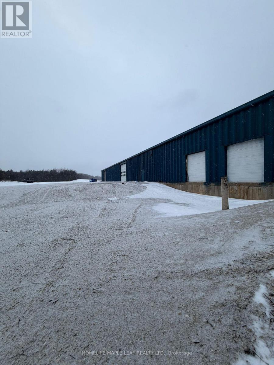 517462 County Road 124, Melancthon, Ontario  L9V 1V7 - Photo 20 - X12916278