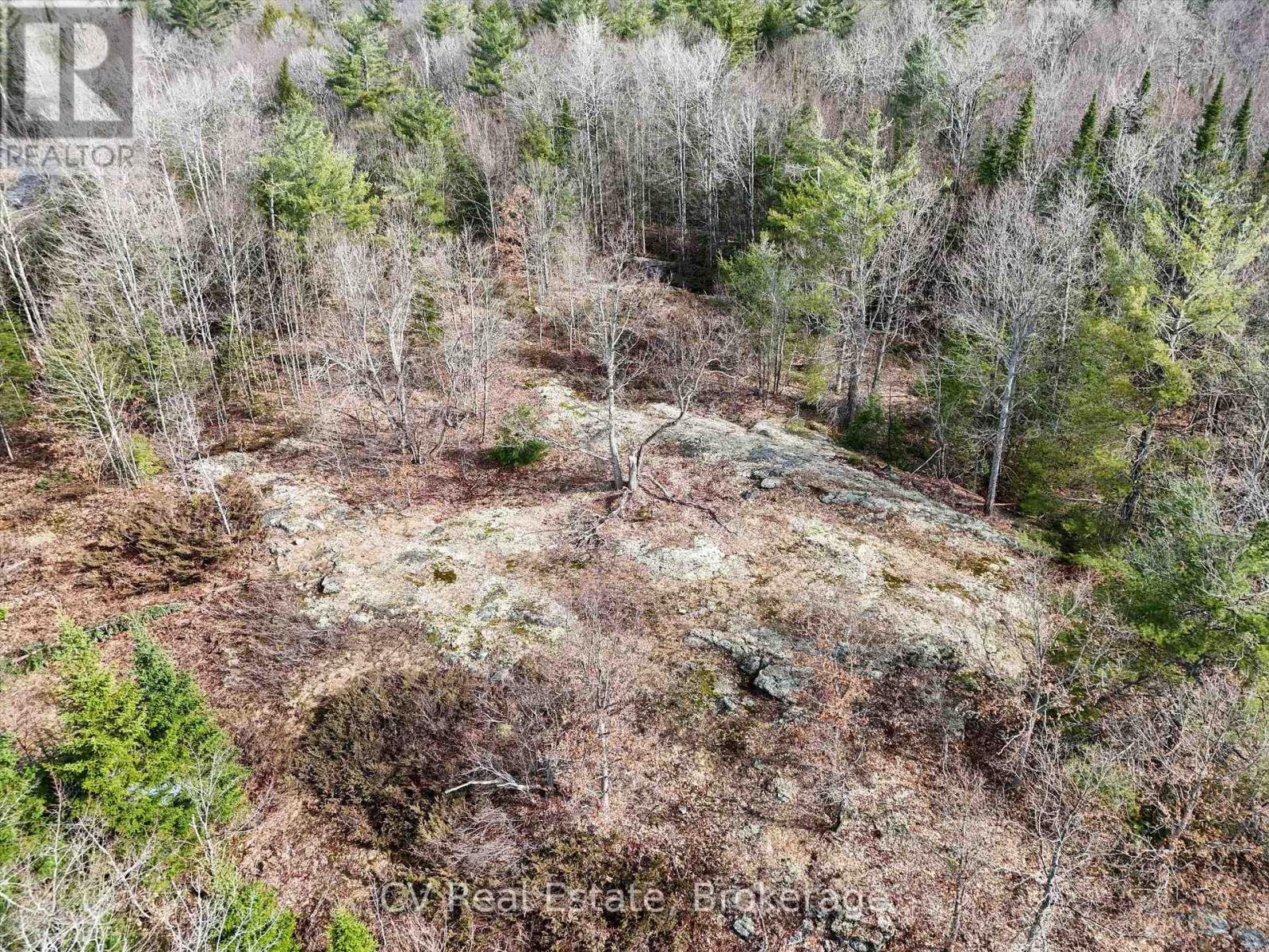 3410 Southwood Road, Gravenhurst, Ontario  P0G 1G0 - Photo 10 - X12324852