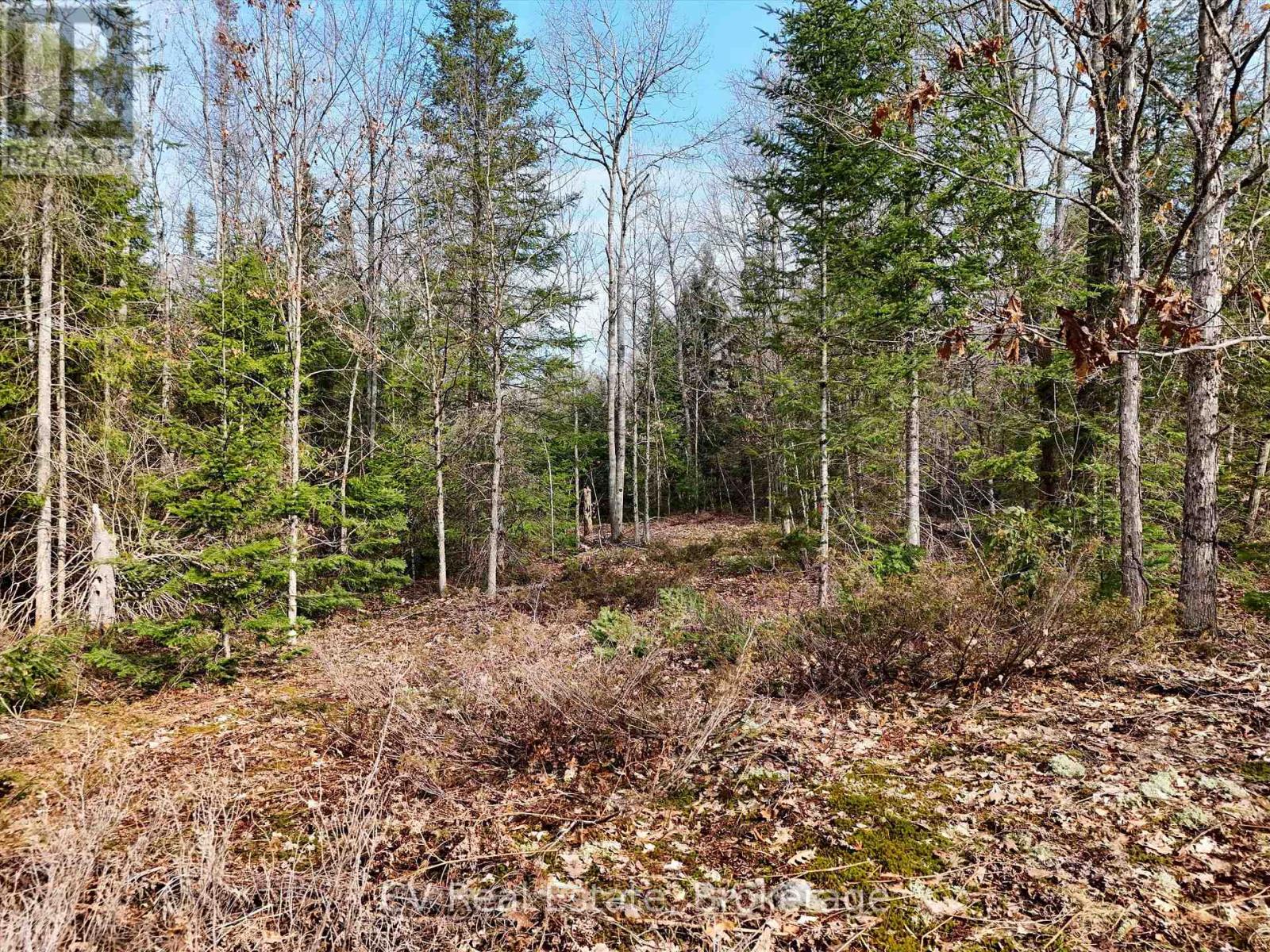 3410 Southwood Road, Gravenhurst, Ontario  P0G 1G0 - Photo 4 - X12324852