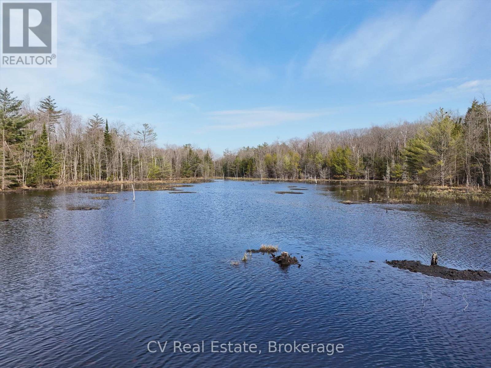 3410 Southwood Road, Gravenhurst, Ontario  P0G 1G0 - Photo 17 - X12324852