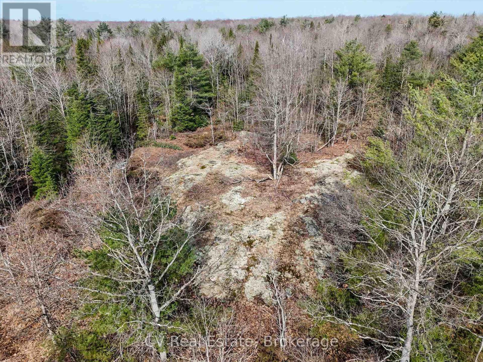 3410 Southwood Road, Gravenhurst, Ontario  P0G 1G0 - Photo 5 - X12324852