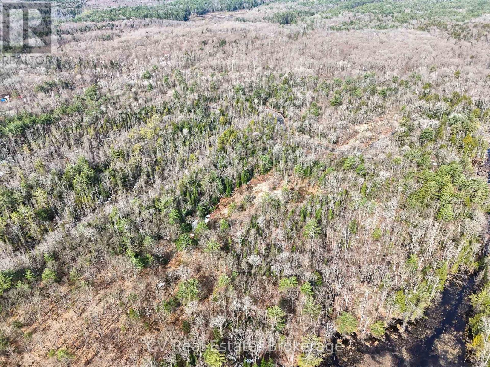 3410 Southwood Road, Gravenhurst, Ontario  P0G 1G0 - Photo 9 - X12324852