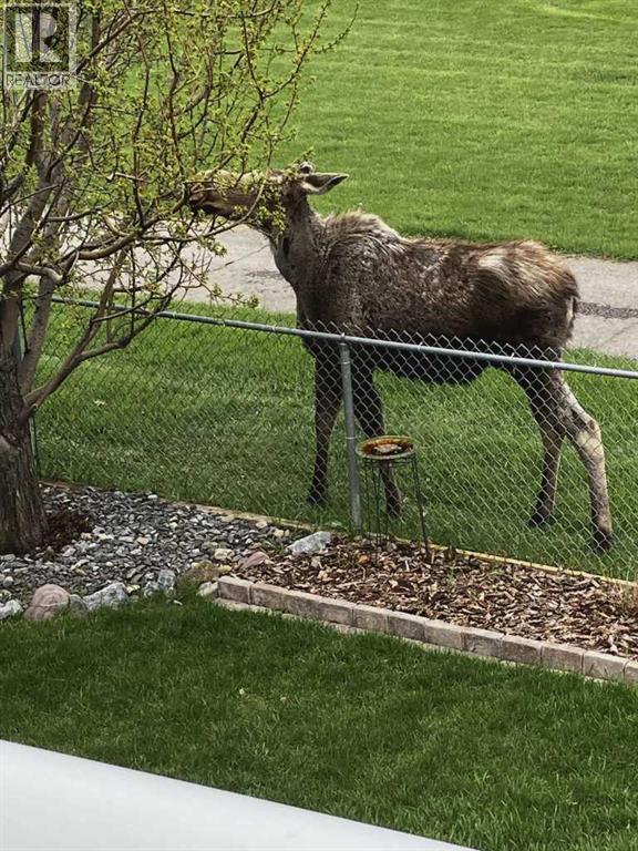 417 Lineham Acres Drive NW, High River, Alberta  T1V 1W6 - Photo 39 - A2293963