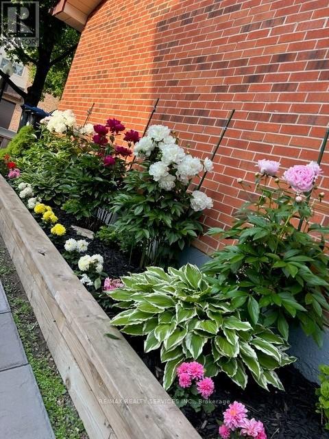 8 Collins Crescent, Brampton, Ontario  L6V 3M9 - Photo 33 - W12916504