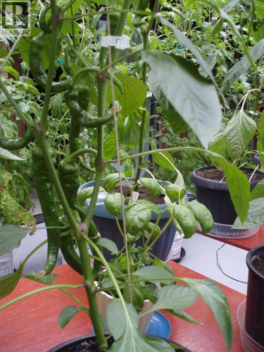 1498 Chamberlain Drive, North Vancouver, British Columbia  V7K 1P6 - Photo 34 - R3071019