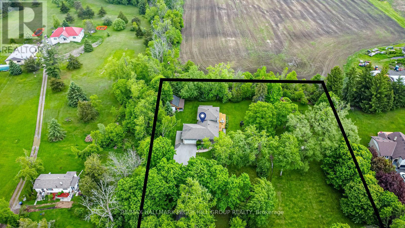 5853 Yonge Street, Innisfil, Ontario  L0L 1K0 - Photo 2 - N12916644