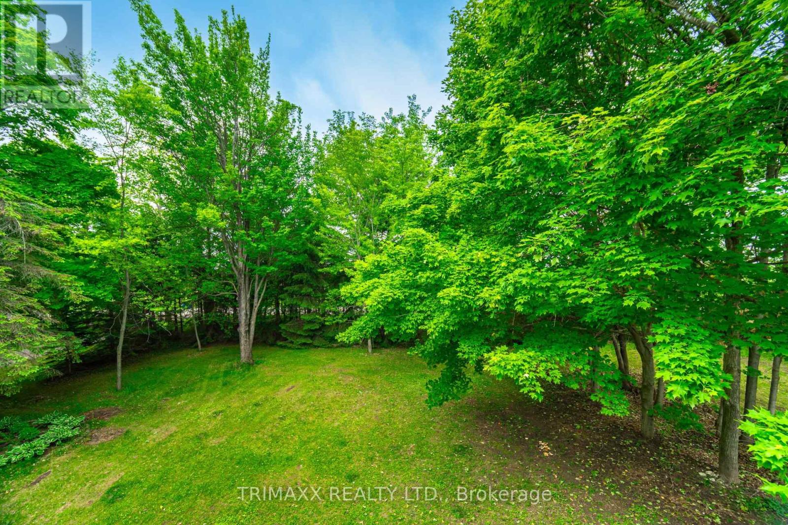 593475 Blind Line, Mono, Ontario  L9W 5N1 - Photo 17 - X12370882