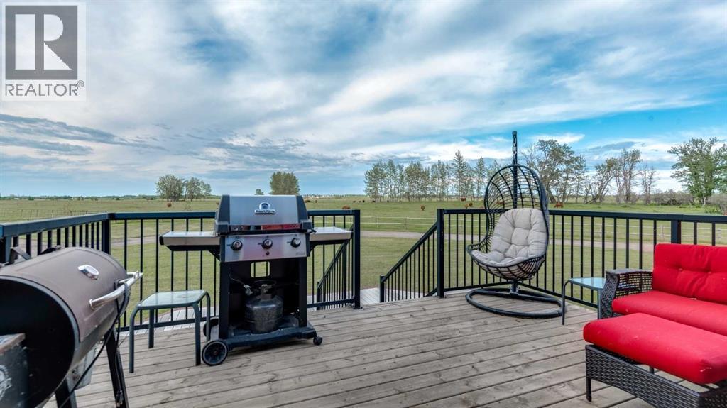 3100 Range Road 254, Strathmore, Alberta  T1P 0K4 - Photo 31 - A2296089