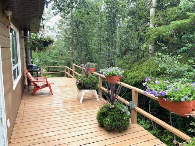 95 Crestview Drive, Onanole, Manitoba  R0J 1N0 - Photo 3 - 202605432