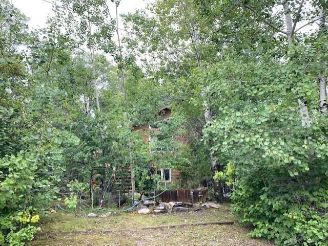 95 Crestview Drive, Onanole, Manitoba  R0J 1N0 - Photo 5 - 202605432