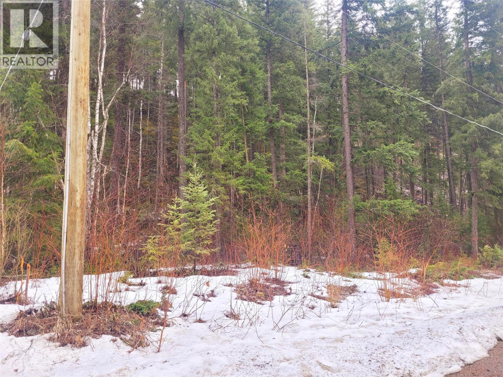 352 Dutch Lake Road, Clearwater, British Columbia  V0E 1N2 - Photo 9 - 10380606