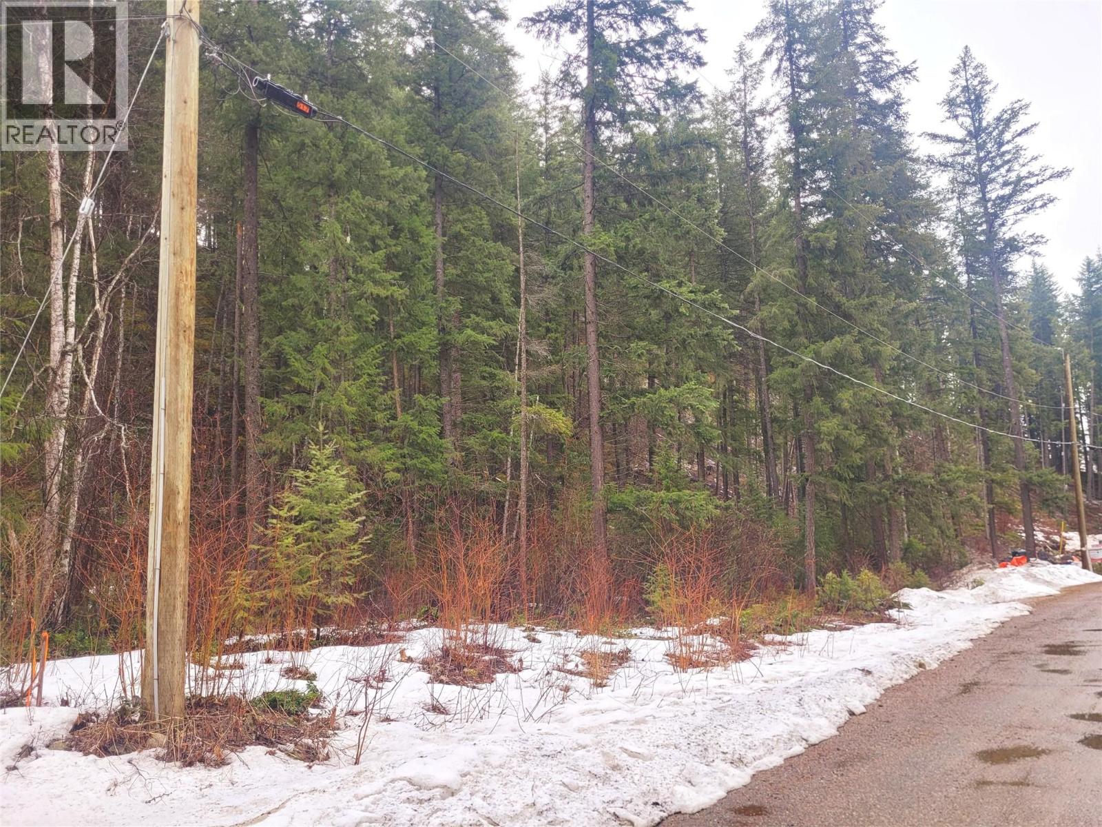 352 Dutch Lake Road, Clearwater, British Columbia  V0E 1N2 - Photo 8 - 10380606