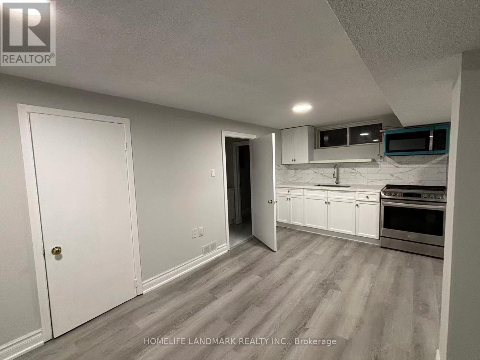 Basement - 320 Crosby Avenue, Richmond Hill, Ontario L4C 2R7 - Photo 2 - N12916966