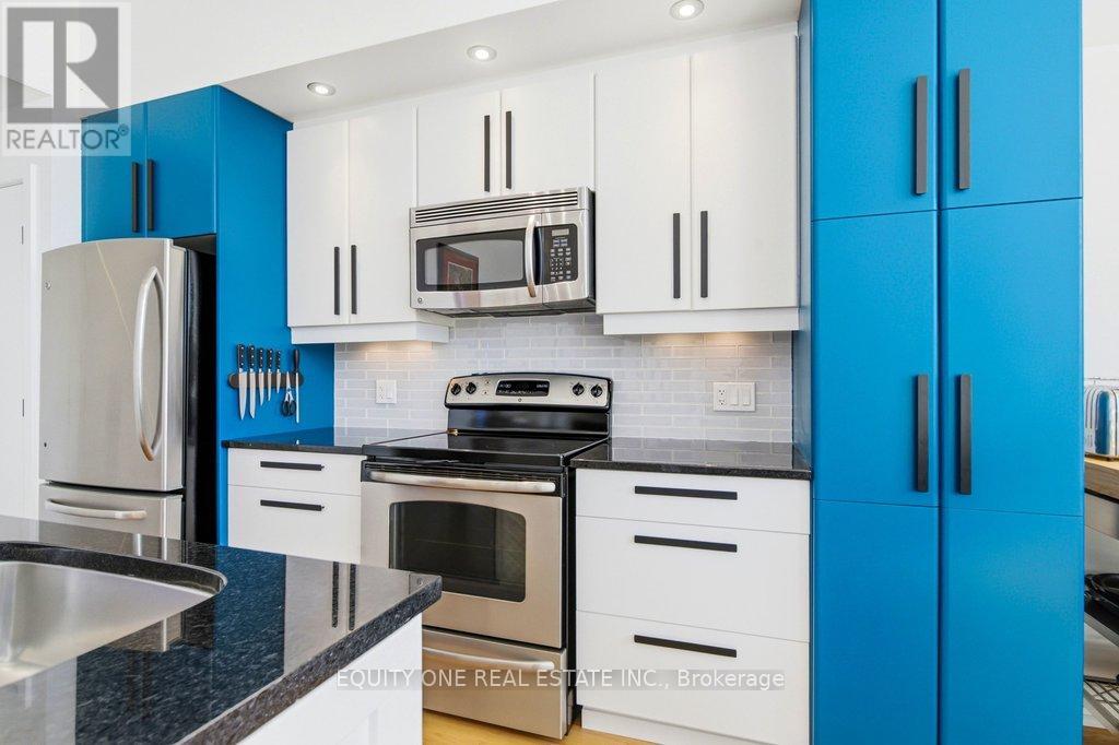 203 - 345 St Denis Street, Ottawa, Ontario  K1L 5J1 - Photo 7 - X12917050