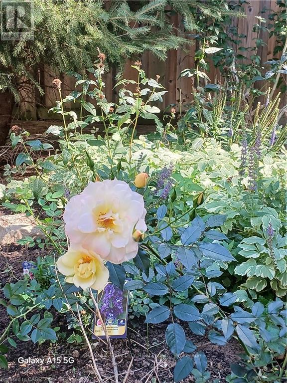 2427 Headon Forest Drive, Burlington, Ontario  L7M 3K7 - Photo 44 - W12917038