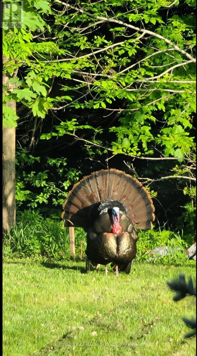 50 Panorama Crescent, Vaughan, Ontario  L4H 1J9 - Photo 16 - N12917024