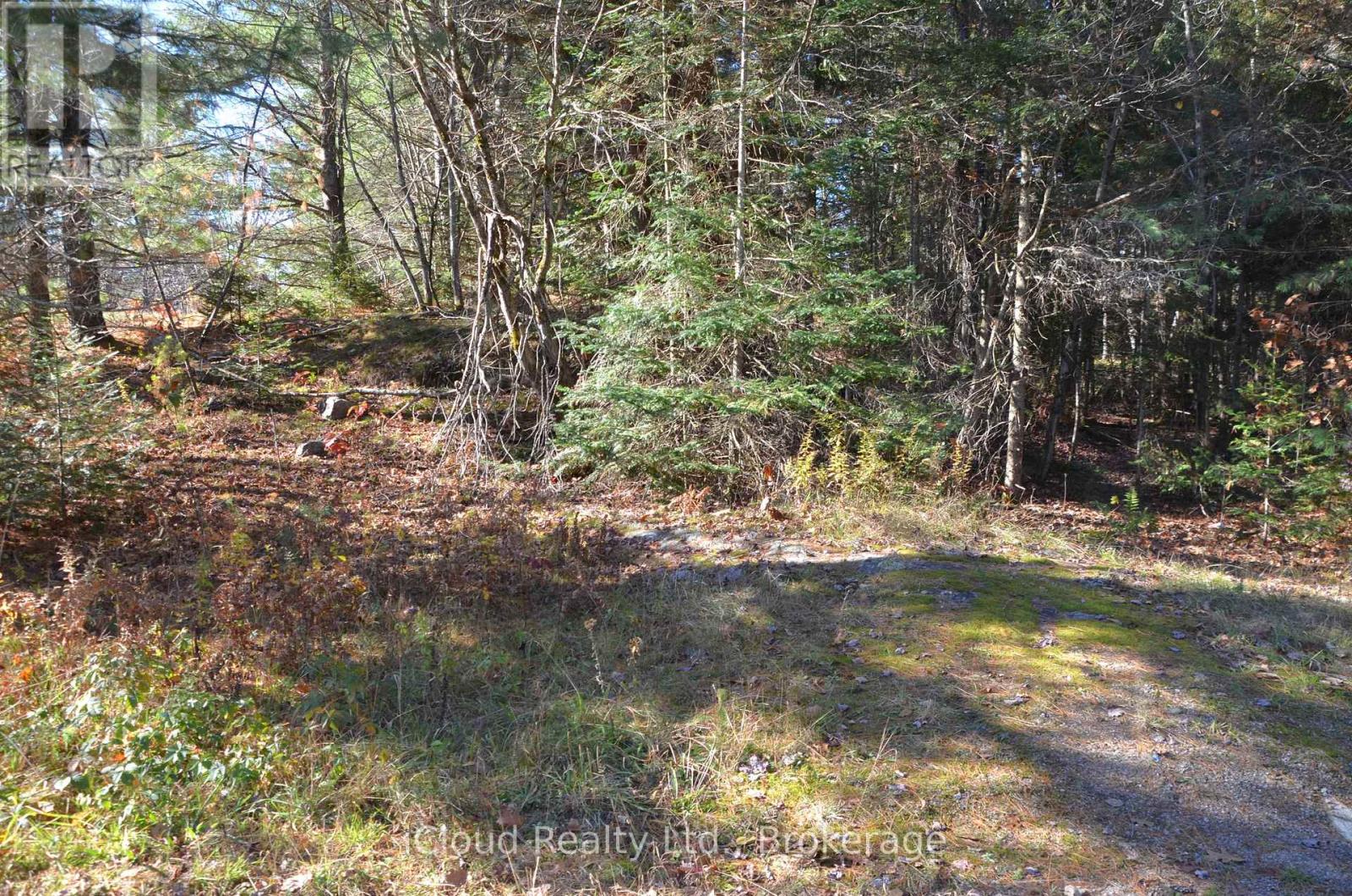2 Parker Bay Road, Whitestone, Ontario  P0A 1G0 - Photo 15 - X12913718