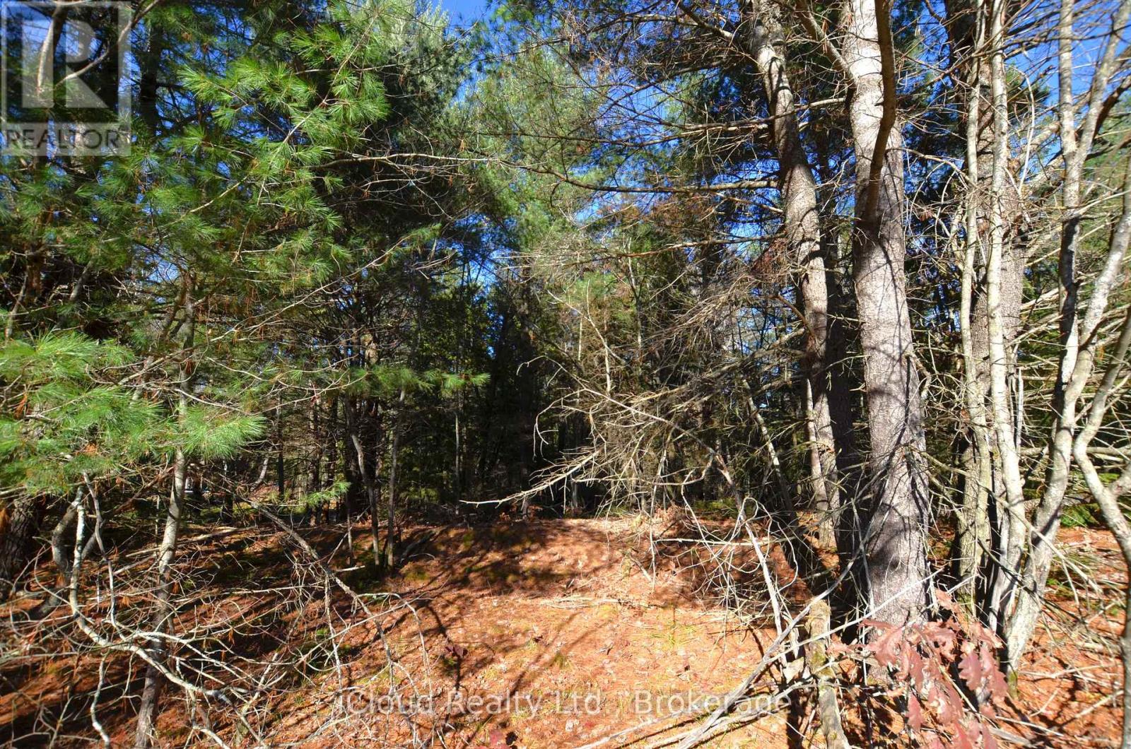 2 Parker Bay Road, Whitestone, Ontario  P0A 1G0 - Photo 7 - X12913718