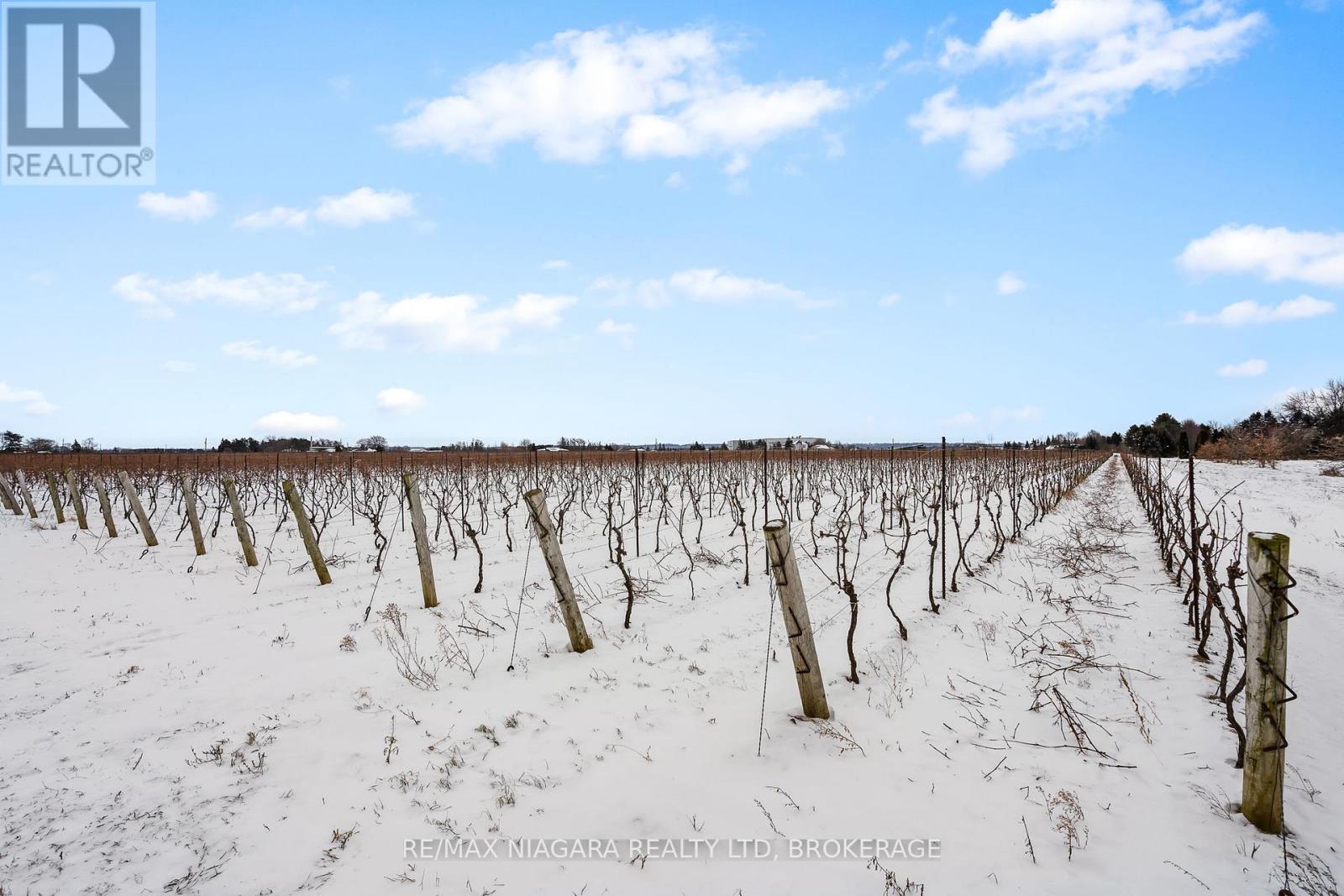 1074 Niagara Stone Road, Niagara-On-The-Lake (Lakeshore), Ontario  L0S 1J0 - Photo 20 - X12917144